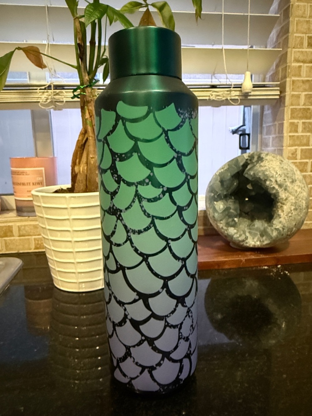 Starbucks mermaid Stainless water Bottle